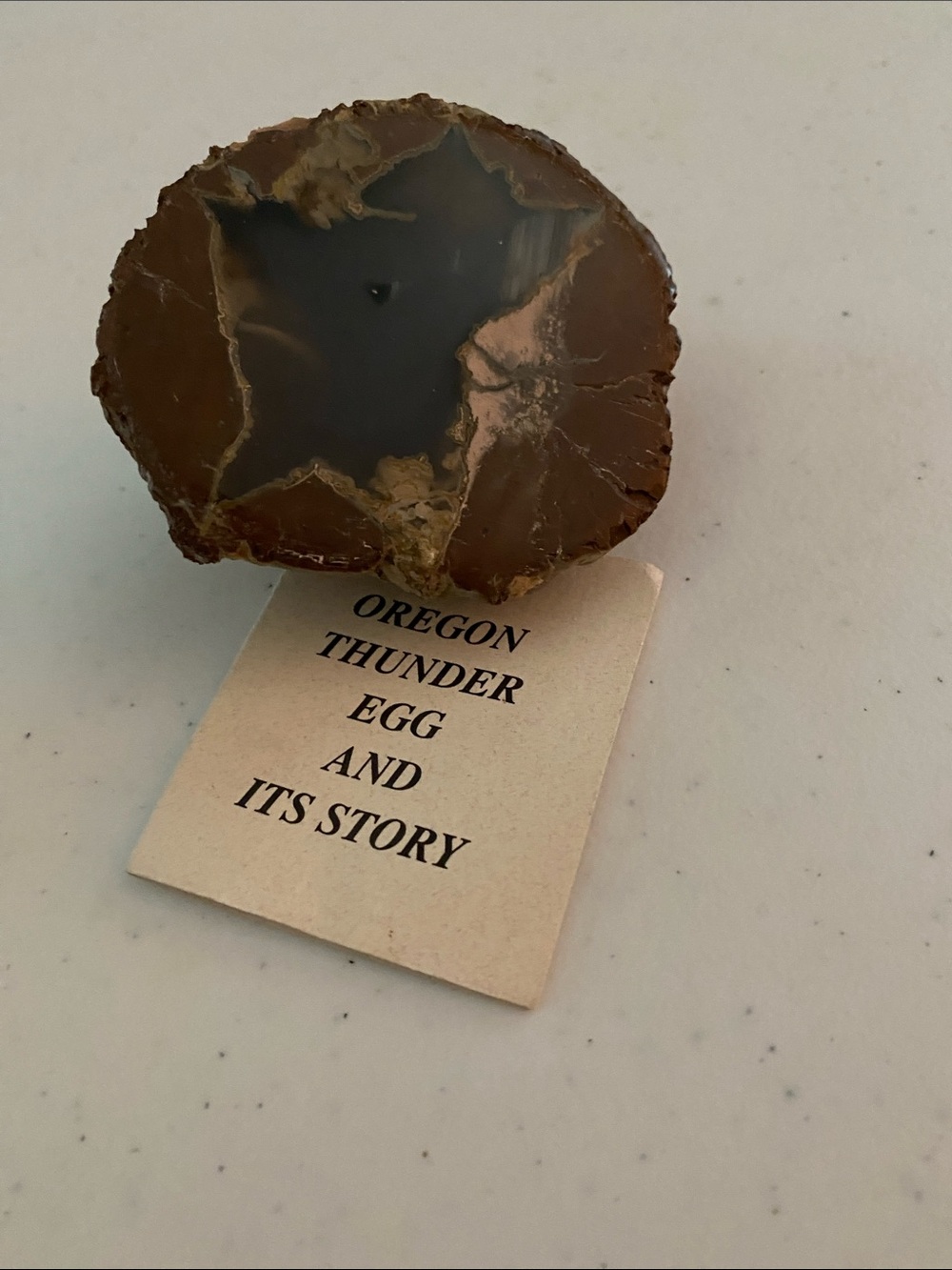 Polished Oregon Thunder Egg — Brown and Gray Agate Slice